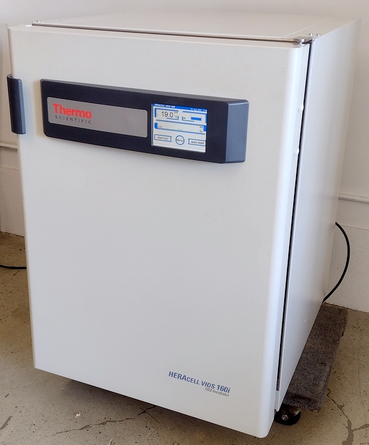 HERAcell Vios 160i Air-Jacketed CO2 Incubator