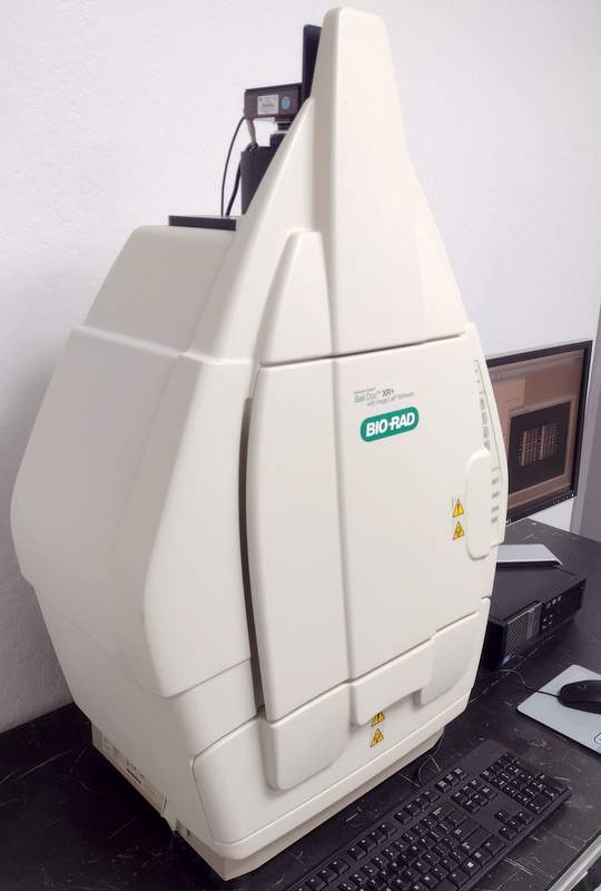 GelDoc XR+ Gel Photo Documentation System